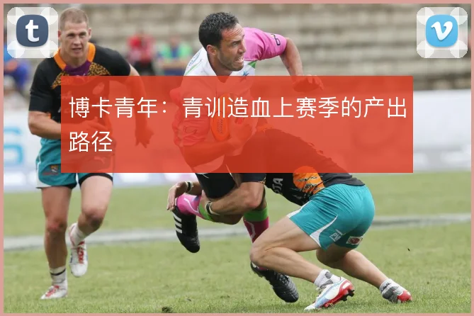 博卡青年：青训造血上赛季的产出路径