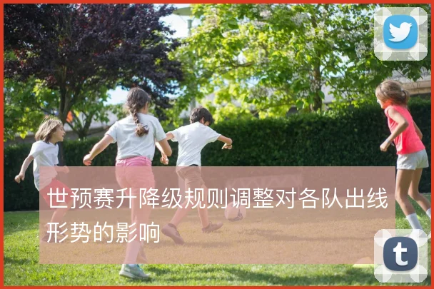 世预赛升降级规则调整对各队出线形势的影响
